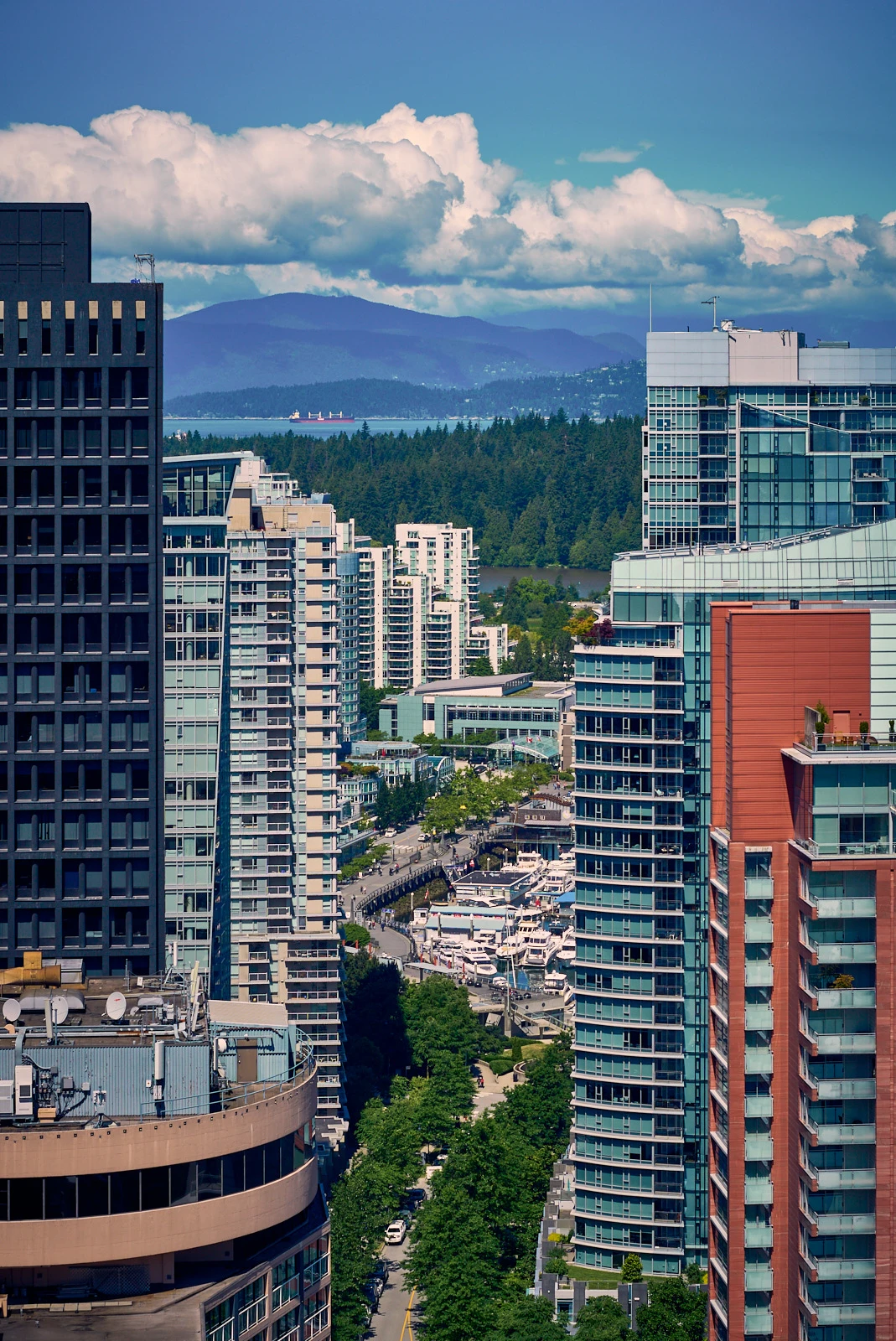 View of Coal Harbour and Lost Lagoon