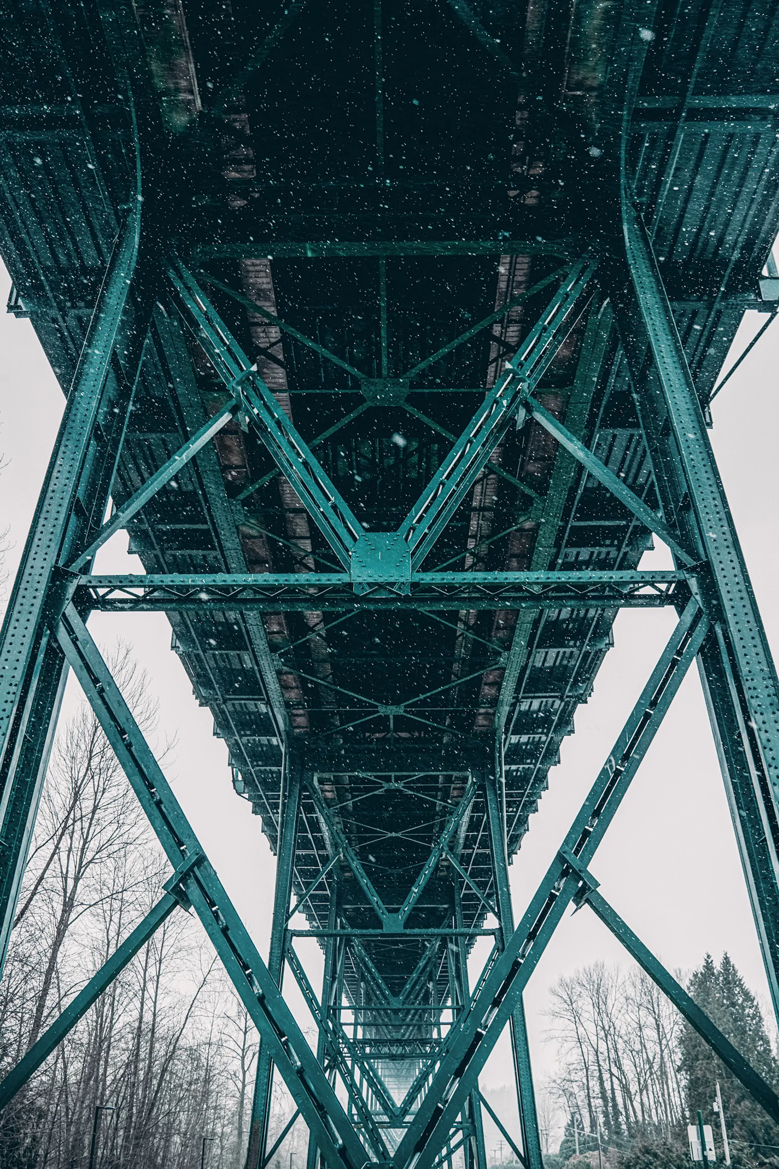Under the Lions Gate Bridge, North Shore
